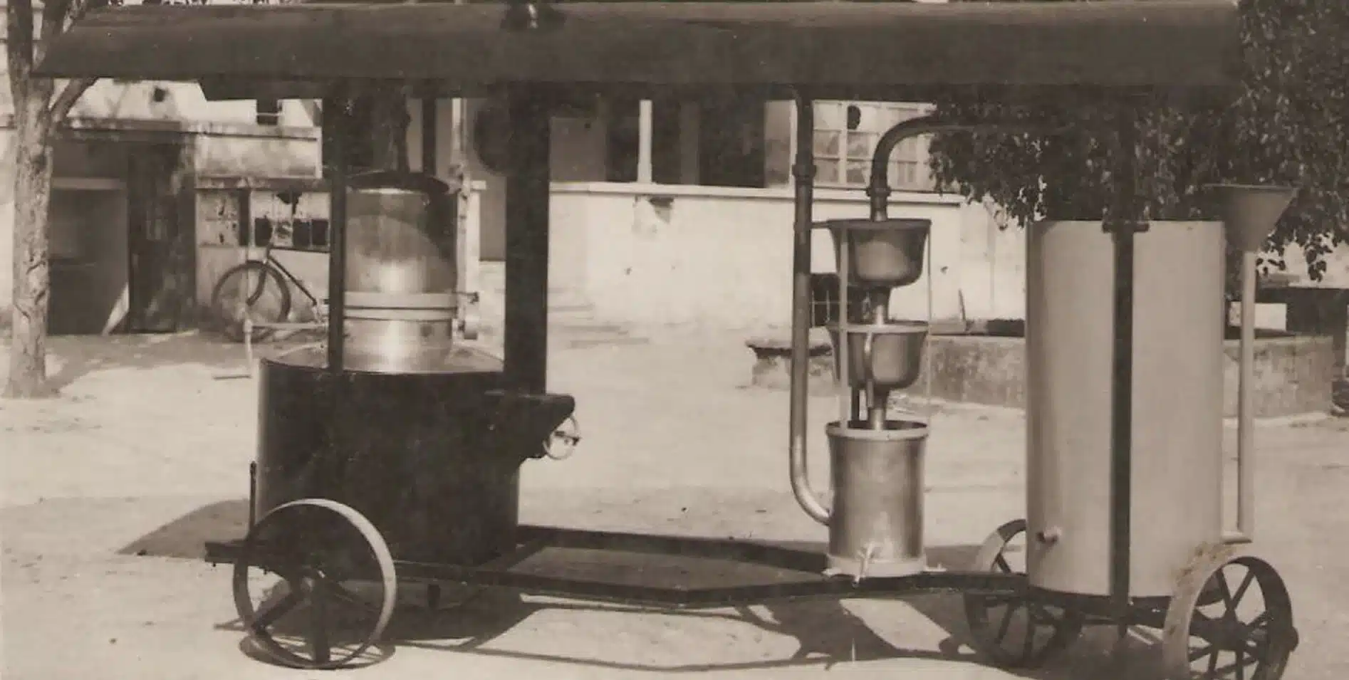 Tradicija od 1965. &mdash; Grubišić, Ruma